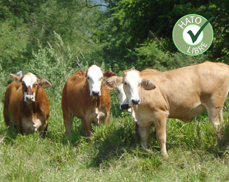 home_farmer_offer1