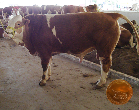 home_farmer_offer2